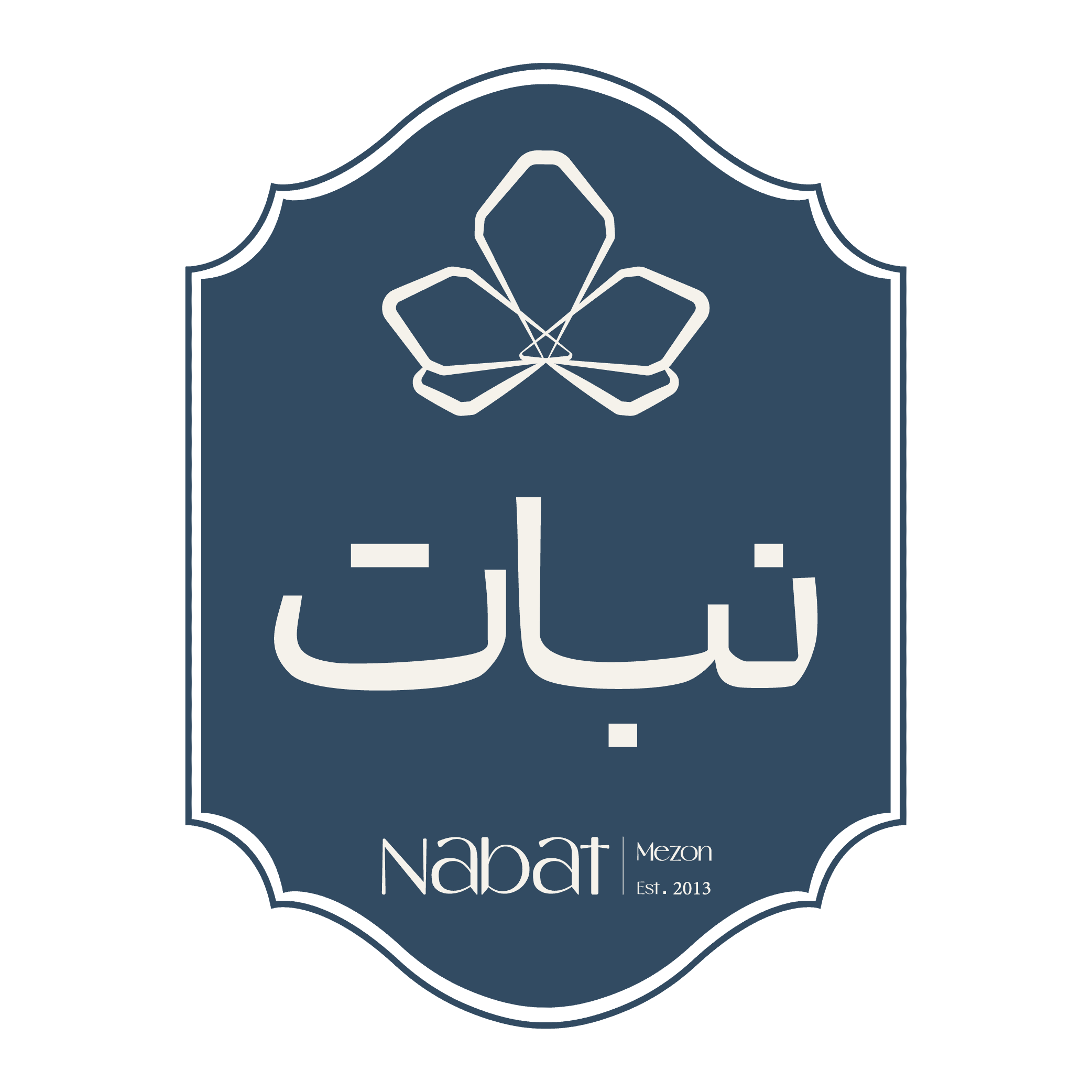 Website Logo